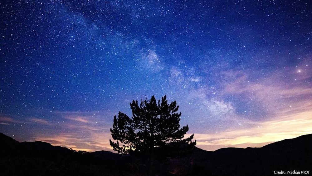Le monde de la nuit: randonnée nocturne à la découverte du ciel étoilé et de la faune nocturne